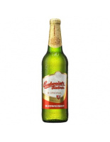 BUDVAR 11,9% PREPRAVKA 20x0,5L