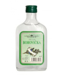 BOROVIČKA SLOVENSKÁ 0,2L 40%