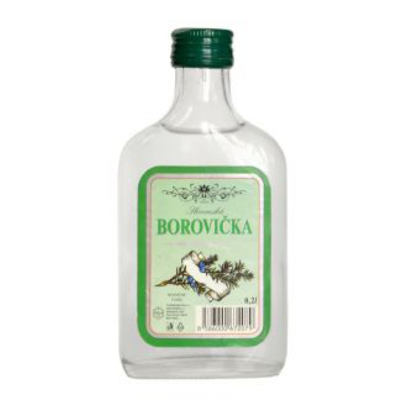 BOROVIČKA SLOVENSKÁ 0,2L 40%